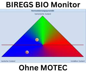 Biregs Biomonitor