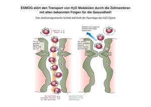 Stoffwechselstörung und Krankheiten